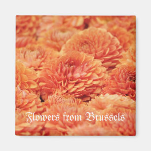 Chrysanthemenblumen in Form eines Teppichs angeord Magnet
