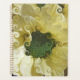 CHRYSANTHEMUM