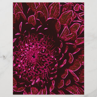 Chrysanthemum