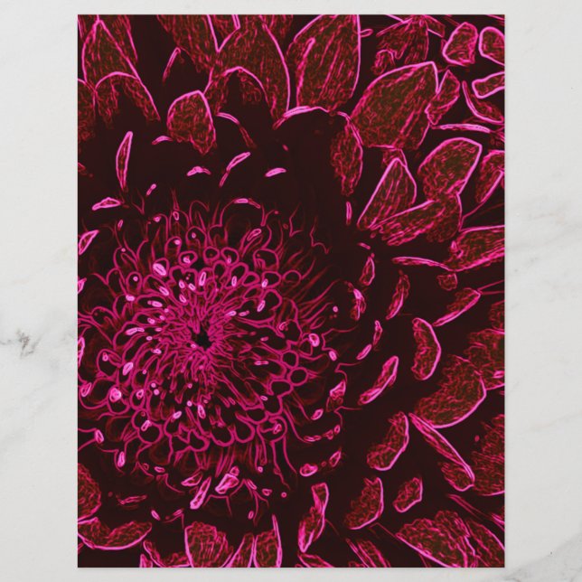 Chrysanthemum (Vorderseite)