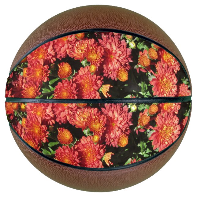 Chrysanthemum Basketball (Vorderseite)