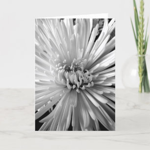 Chrysanthemum Blossom Karte