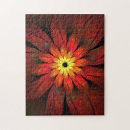 Chrysanthemum-Blume