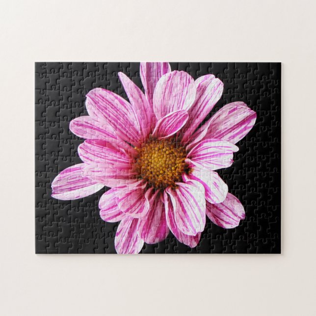 Chrysanthemum Blume 11x14 252pc jpcnm (Horizontal)