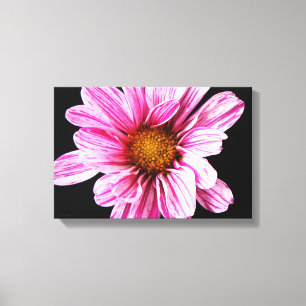 Chrysanthemum Blume 16,50x11 (41,25x27,5cm) Wacm Leinwanddruck