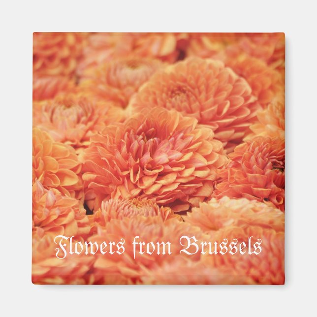 Chrysanthemum-Blume als Teppichboden angeordnet Magnet (Vorne)