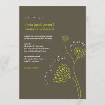 Chrysanthemum Blume Floral Elegante Hochzeit