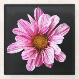 Chrysanthemum Blume Küstenercnm Glasuntersetzer