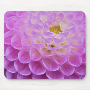 Chrysanthemum-Blume mit Grabstätte in Mousepad