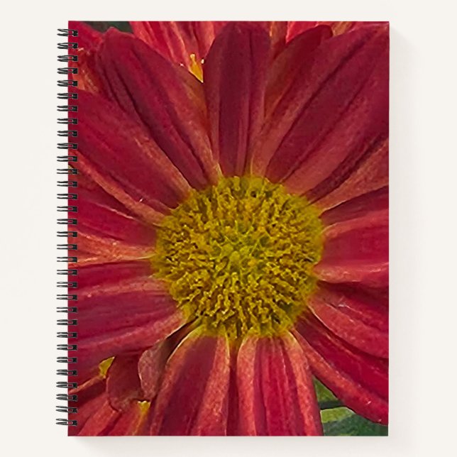 Chrysanthemum-Blume Notizbuch (Vorderseite)