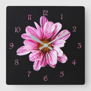 Chrysanthemum Blume Pink Script Numbers Wccer Quadratische Wanduhr
