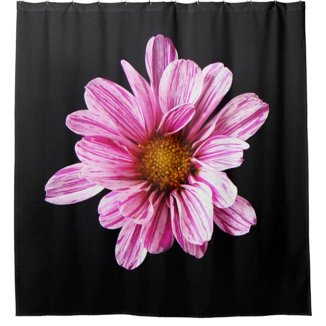 Chrysanthemum Blume scccnm Duschvorhang (Vorderseite)