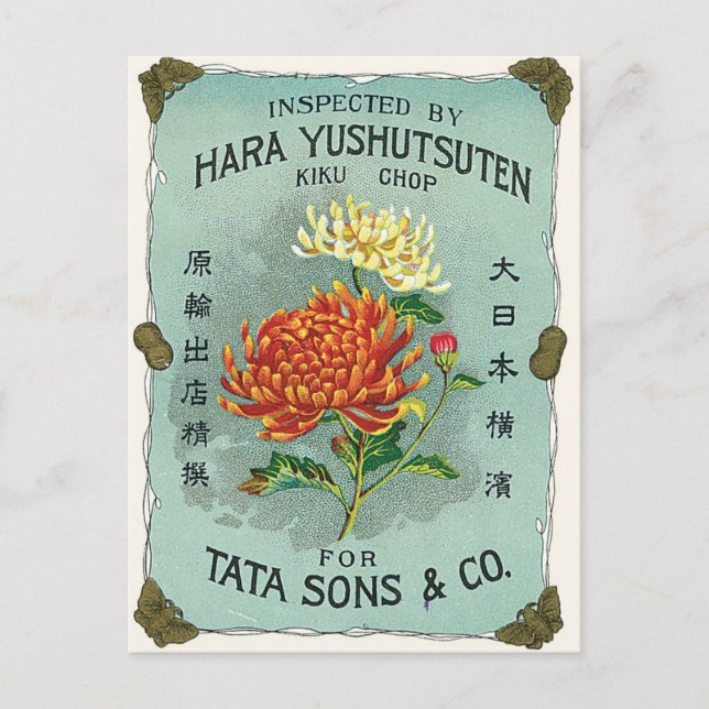 Chrysanthemum Blume Vintag Japanisches Seidensiege Postkarte (Vorderseite)