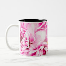 Chrysanthemum-Blume