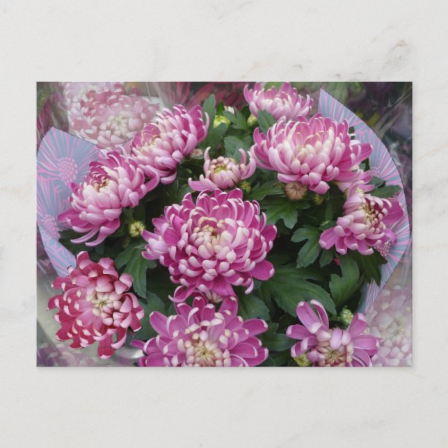 Chrysanthemum Bouquet Postkarte (Vorderseite)