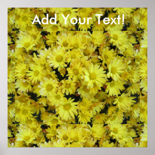 Chrysanthemum Cluster Garden Yellow Poster