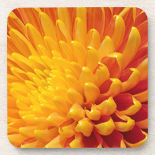 Chrysanthemum Getränkeuntersetzer