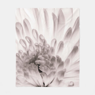 Chrysanthemum in voller Blüte. Nahes Flo-Makro Fleecedecke