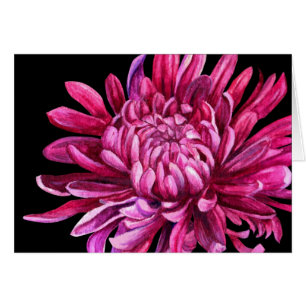Chrysanthemum "l'ouverture" carte quotidienne