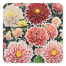 Chrysanthemum Majestät: Embrace Timeless
