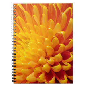 Chrysanthemum Notizblock