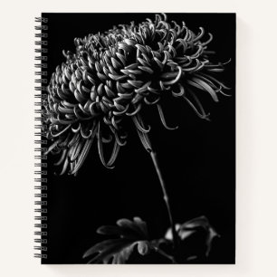 Chrysanthemum Notizbuch