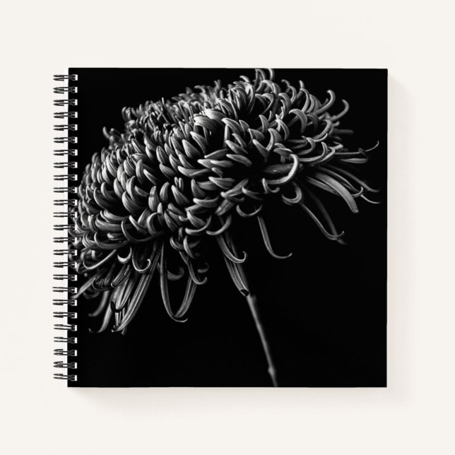Chrysanthemum Notizbuch (Vorderseite)
