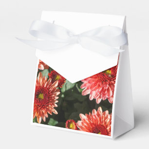 Chrysanthemum-Pflanze auf einem Grabstein Geschenkschachtel