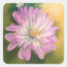 Chrysanthemum Pink und Cream Pastel Floral