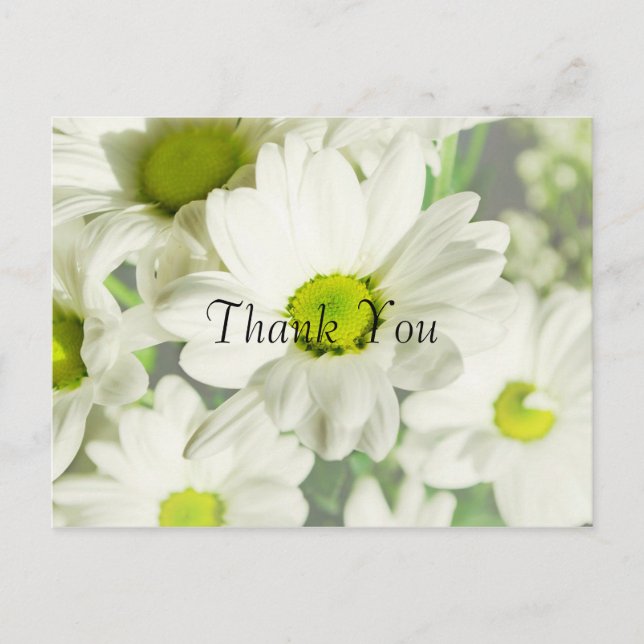 Chrysanthemum Vielen Dank Postkarte (Vorderseite)