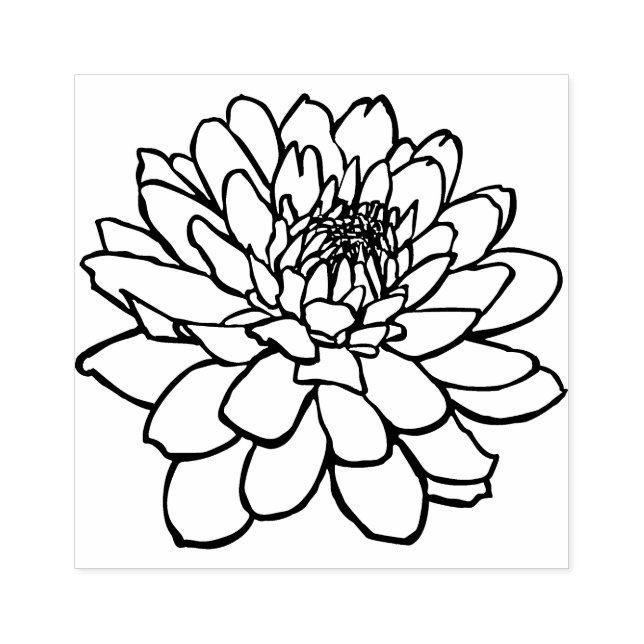 Chrysanthemum Zeichnend Gummistempel (Prägung)