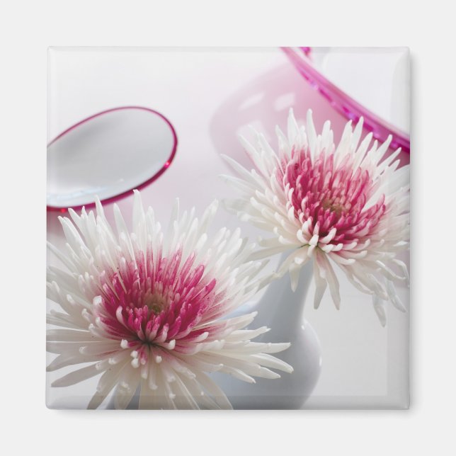 Chrysanthemums Magnet (Vorne)
