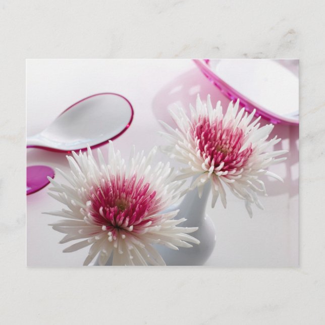 Chrysanthemums Postkarte (Vorderseite)