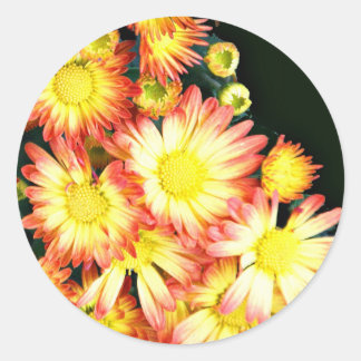 Chrysanthemums Runder Aufkleber