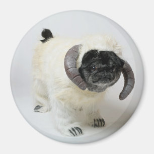 Chubbs der Wampug Magnet