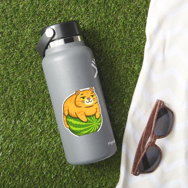 Chubby Cat on Watermelon Meme Shirt Aufkleber (HydroFlask Insitu)