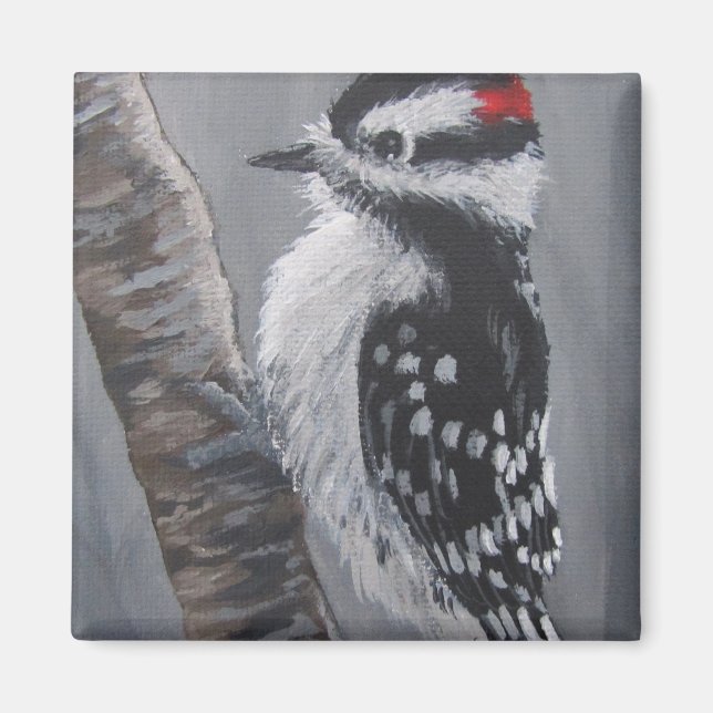 Chubby Downy Woodpecker - Magnet (Vorne)