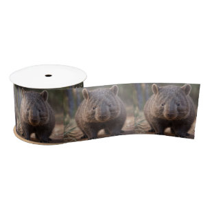 Chubby The Australian Wombat, Satinband