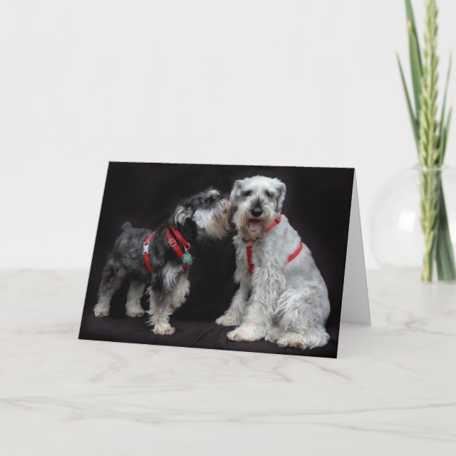 Chuchotement de Schnauzers de la carte de voeux (Devant)
