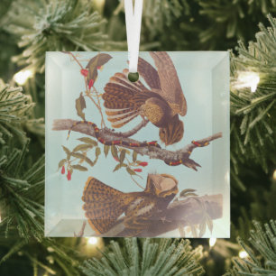 Chuck Will's Widow Nightjar mit Korallenschlange Ornament Aus Glas