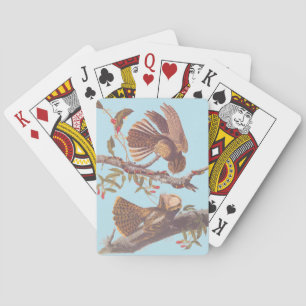 Chuck Will's Widow Nightjar mit Korallenschlange Spielkarten