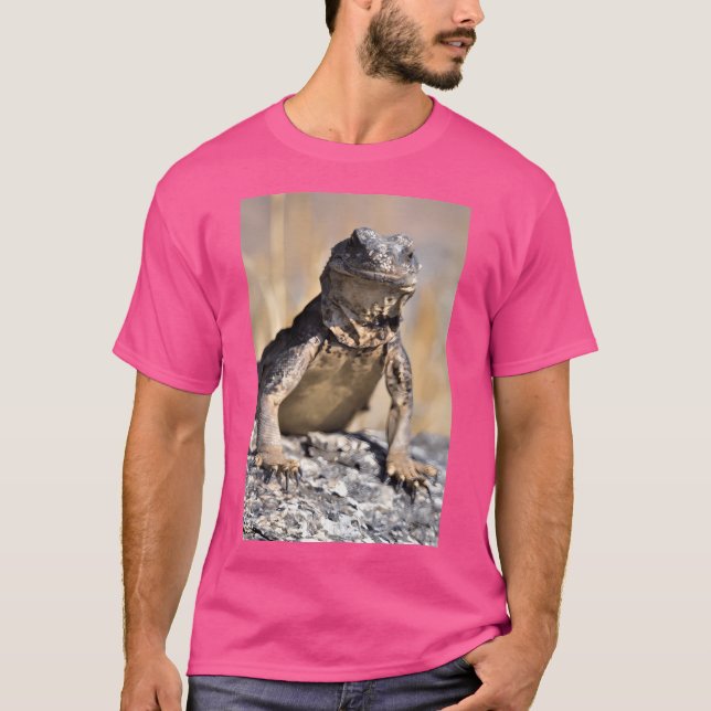 Chuckwalla On Watch Active T-Shirt (Vorderseite)