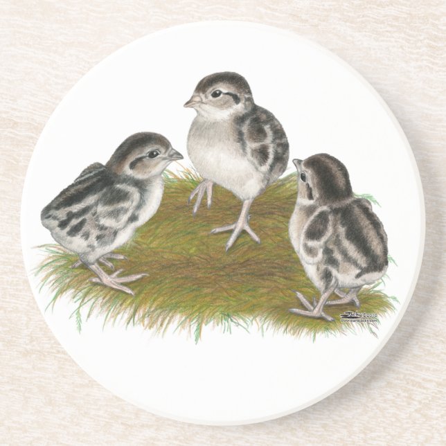 Chukar Partridge Chicks Getränkeuntersetzer (Vorne)