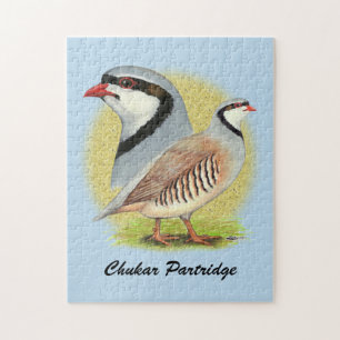 Chukar Partridge Combo