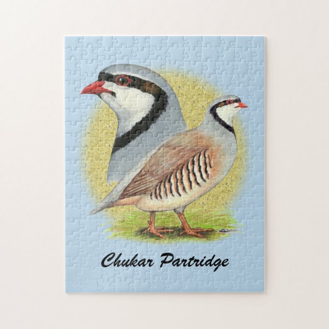 Chukar Partridge Combo (Vertikal)