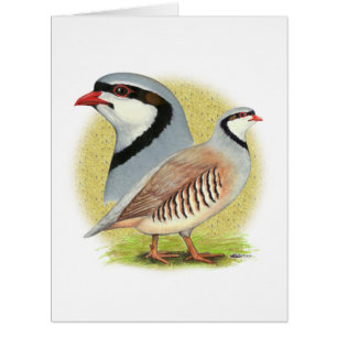 Chukar Partridge Combo