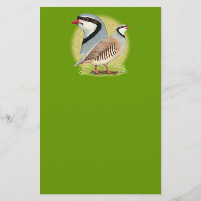 Chukar Partridge Combo Briefpapier (Vorderseite)