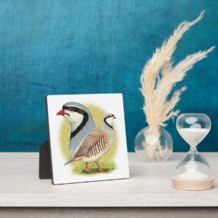 Chukar Partridge Combo Fotoplatte