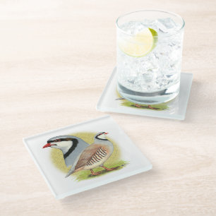 Chukar Partridge Combo Glasuntersetzer