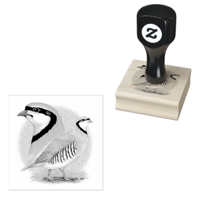 Chukar Partridge Combo Gummistempel (Stempel)